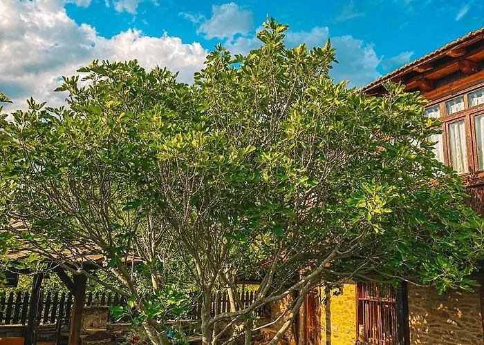 בית נופש кътче *